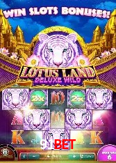 Casino Ao Vivo 91bet